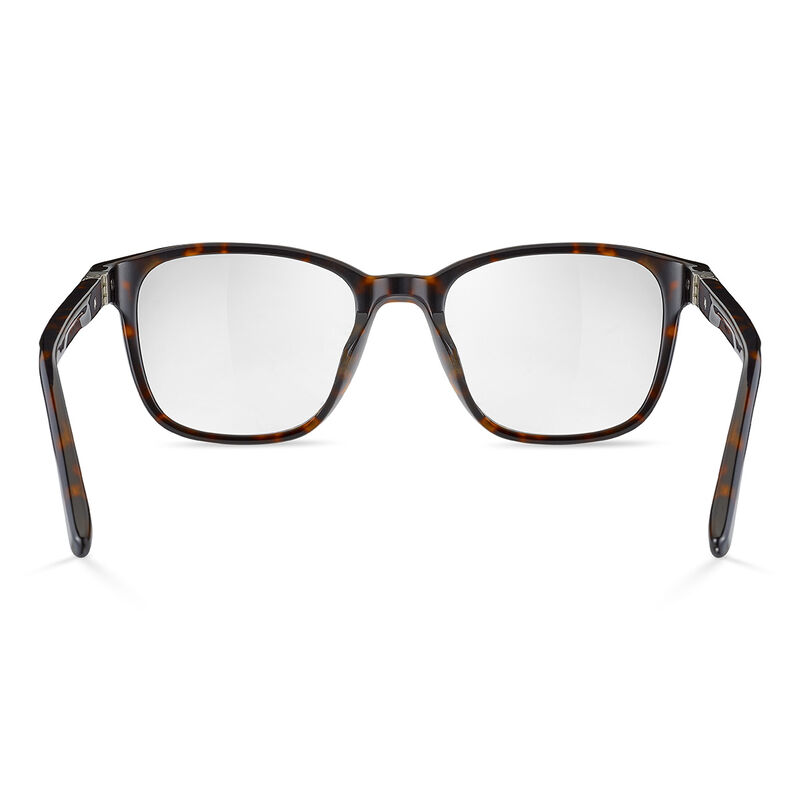 JASP 02, Havana Shiny-, hi-res image number null